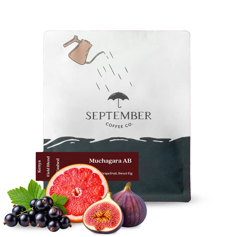 Výběrová káva September Coffee Keňa MUCHAGARA AB