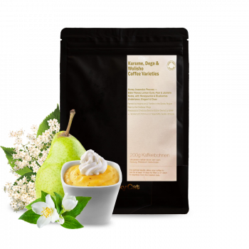 Etiopie CHELBESA DANCHE - Lucky Cat Coffee