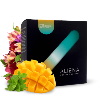 Nikaragua FINCA LA BENDICIÓN - Aliena Coffee Roasters