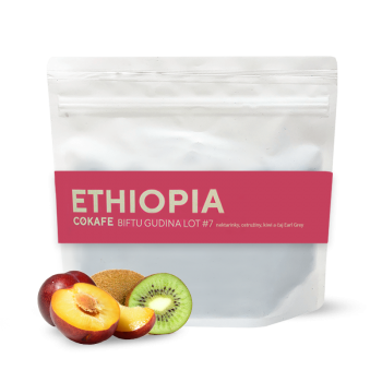 Etiopie BIFTU GUDINA LOT #7 - CO KAFE 