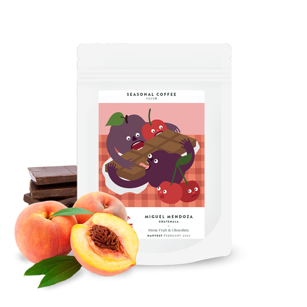 Výběrová káva Calendar Coffee Guatemala MIGUEL MENDOZA