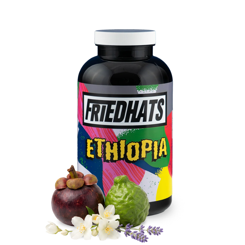 Výběrová káva Friedhats Coffee Etiopie ASHENAFI GETANEH - espresso