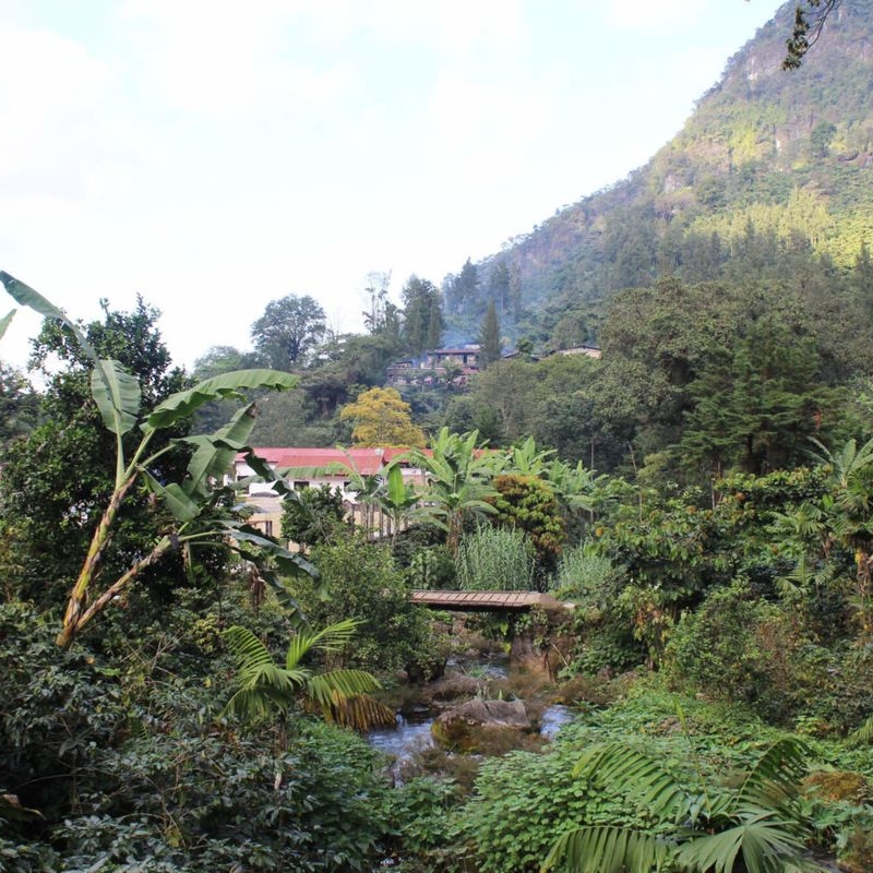 Výběrová káva Square Mile Guatemala LOS LAURELES 2022