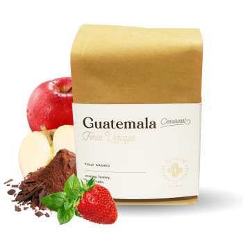 Guatemala FINCA VIZCAYA - Illimité Coffee Roasters