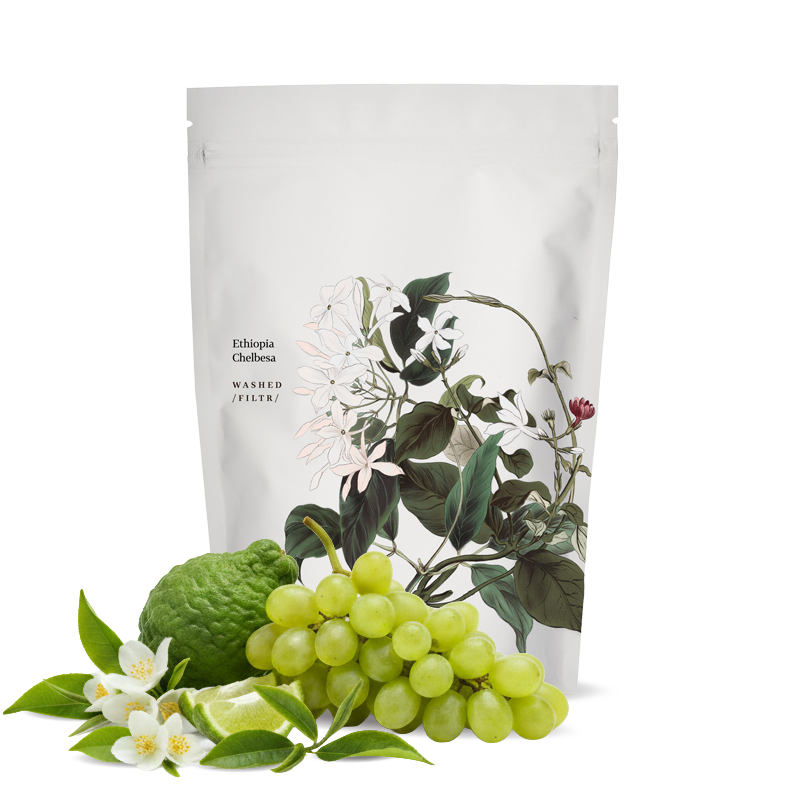 Výběrová káva Kmen Coffee Roasters Etiopie CHELBESA