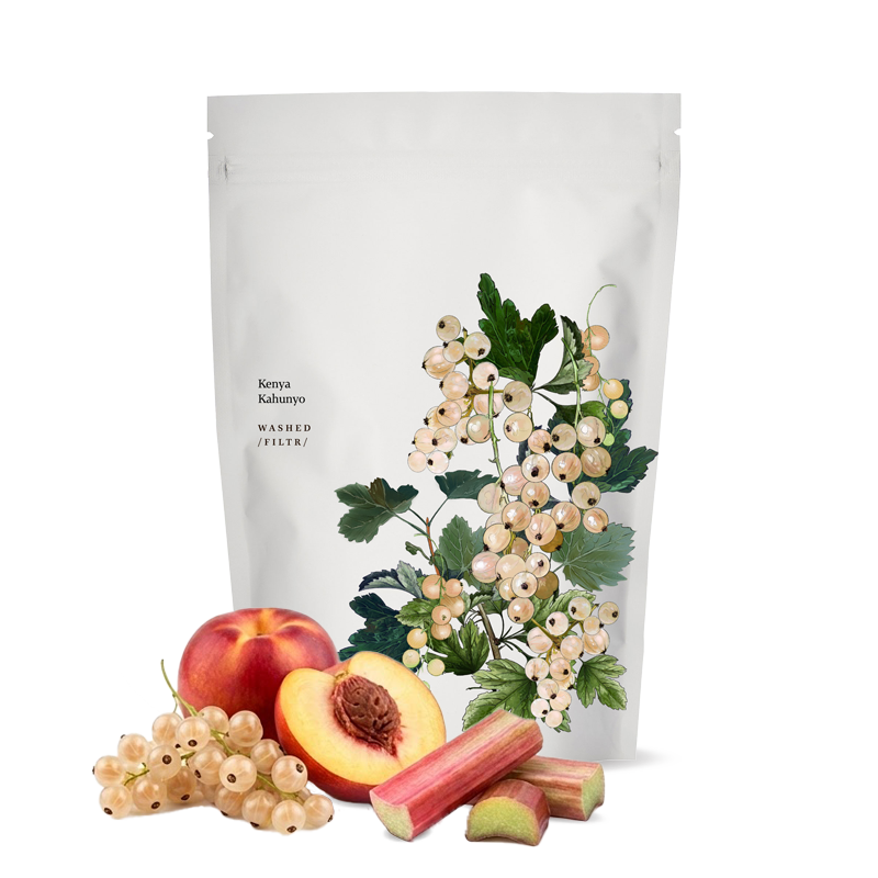 Výběrová káva Kmen Coffee Roasters Keňa KAHUNYO