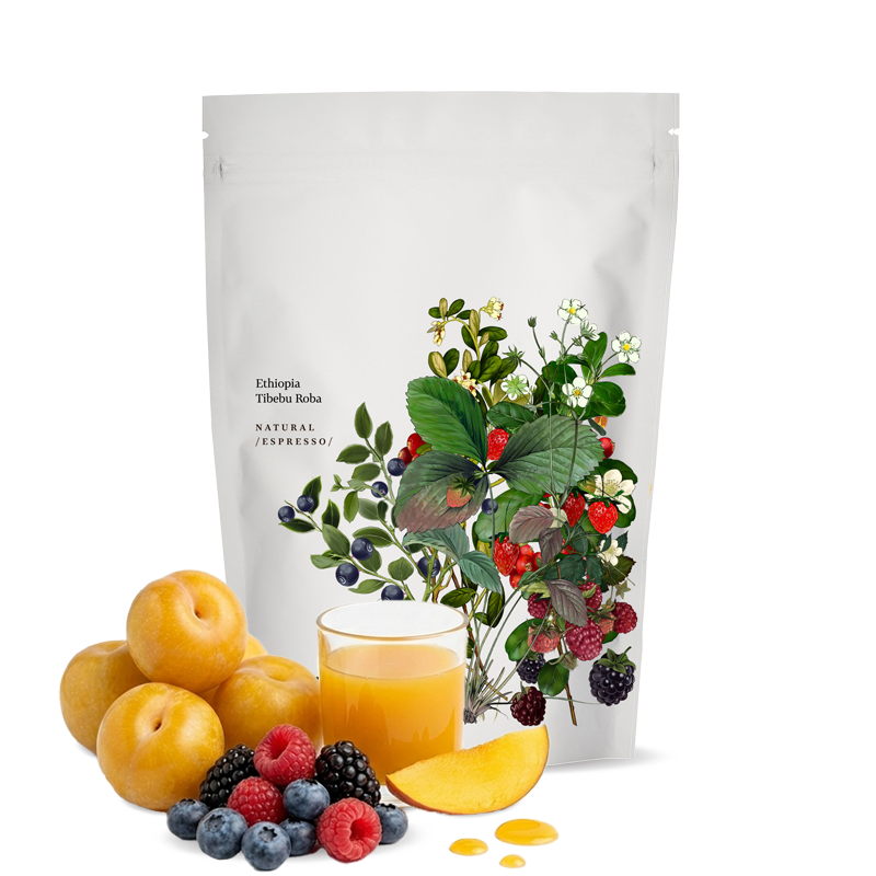 Výběrová káva Kmen Coffee Roasters Etiopie TIBEDU ROBA