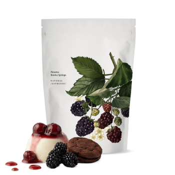 Panama BONITA SPRINGS - Kmen Coffee Roasters