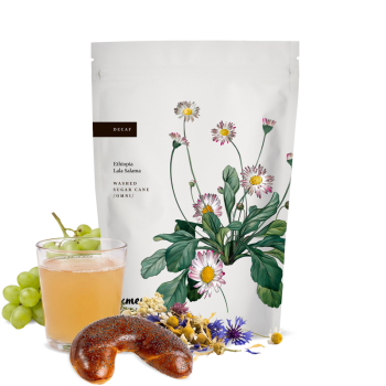 Etiopie LALA SALAMA - bezkofeinová - Kmen Coffee Roasters