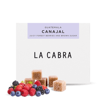 Guatemala CANAJAL - La Cabra Coffee