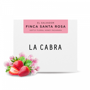 El Salvádor FINCA SANTA ROSA - Honey - La Cabra Coffee