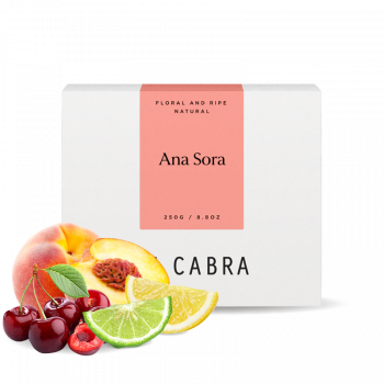 Etiopie ANA SORA - La Cabra Coffee