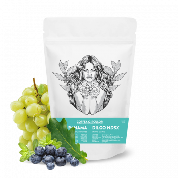 Panama ALTIERI DILGO NDSX - geisha - 100g - Coffea Circulor
