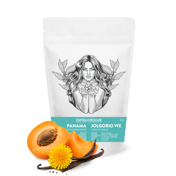 Panama JOLGORIO WX - 100g - Coffea Circulor