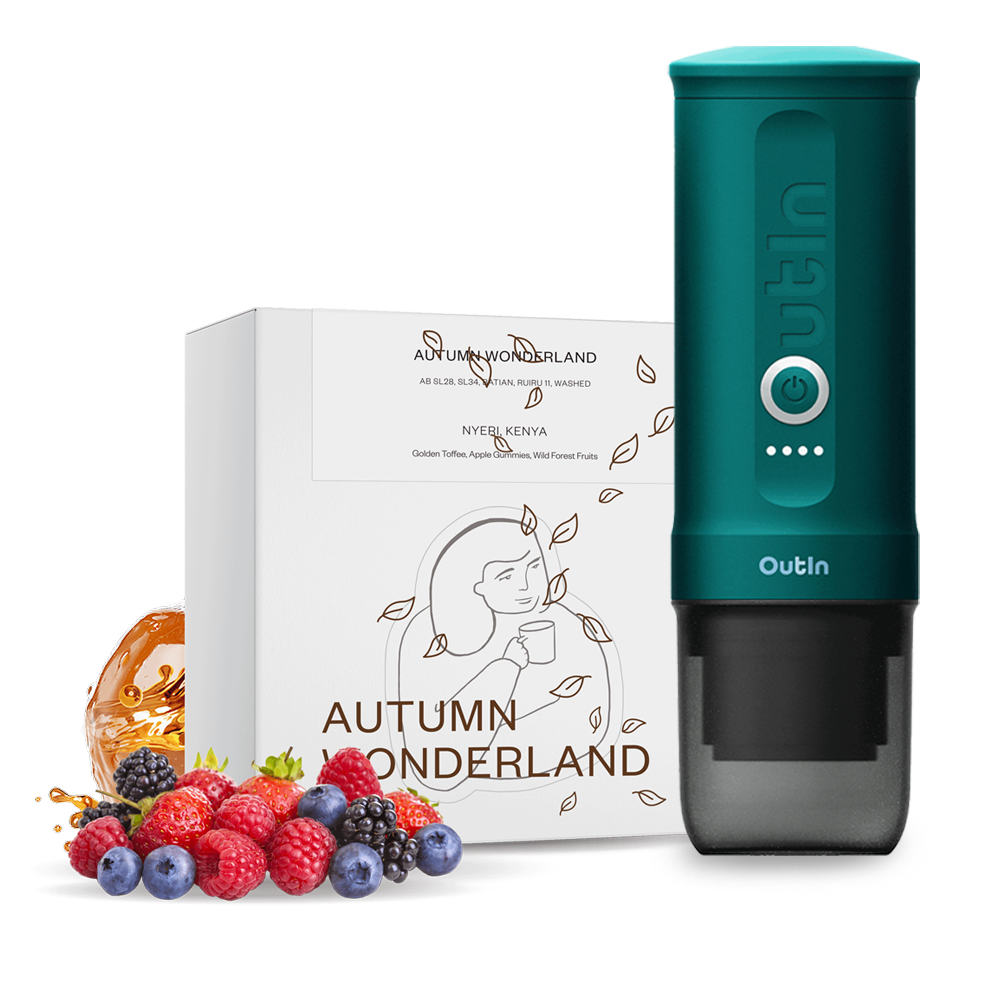 Dak Autumn Wonderland x Outin set - Teal