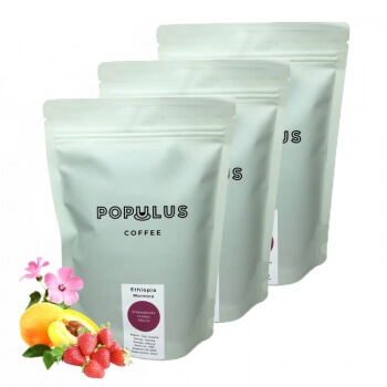 3PACK - Populus Coffee 2019 - Populus coffee