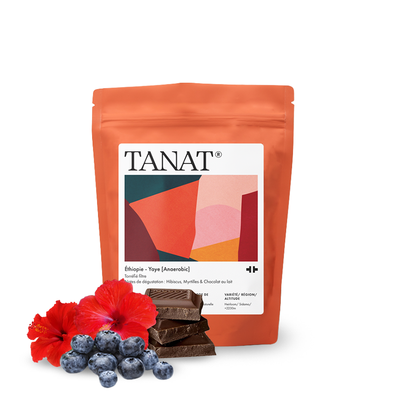 Výběrová káva Tanat Coffee Etiopie YAYE