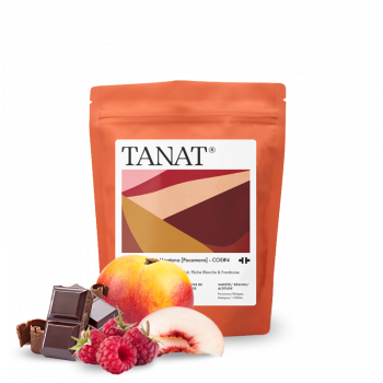 El Salvador LA MONTANA - Cup of Excellence #4 - Tanat Coffee