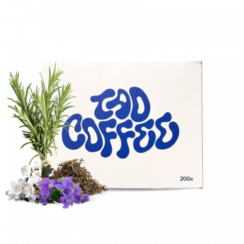 Honduras EL PARAÍSO GEISHA - TAO Coffee