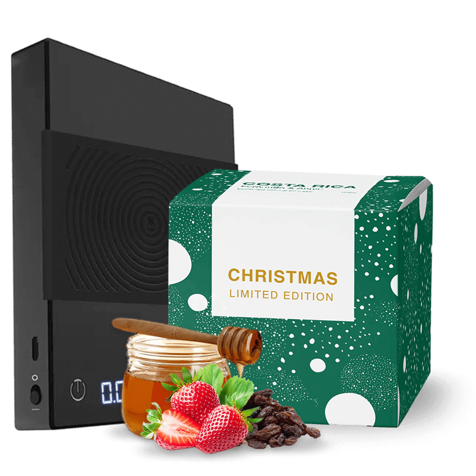 Timemore Basic x BeBerry Xmas Set - Black