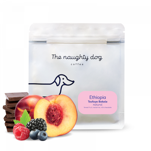 Výběrová káva The naughty dog Etiopie TESFAYE BEKELE