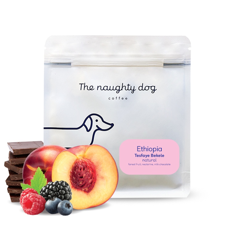 Výběrová káva The naughty dog Etiopie TESFAYE BEKELE