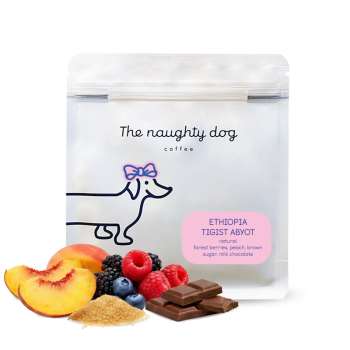 Etiopie TIGIST ABYOT - The naughty dog