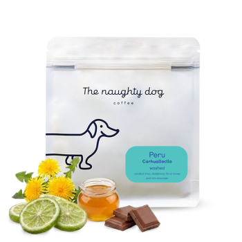 Peru EFRAIN CARHUALLOCLLO - The naughty dog