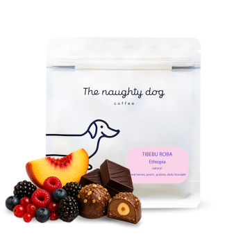 Etiopie TIBEBU ROBA - The naughty dog