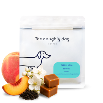 Etiopie TAFERI KELA - The naughty dog