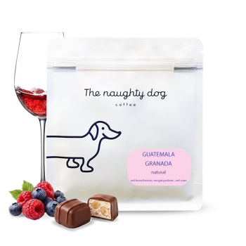 Guatemala GRANADA - The naughty dog
