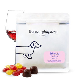 Etiopie HAMBELA - The naughty dog