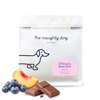Etiopie BANKO GOTITI - The naughty dog