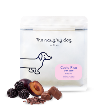 Kostarika DON JOSÉ - The naughty dog