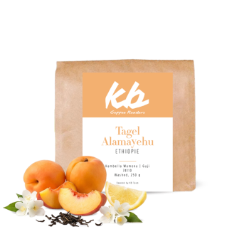 Etiopie TAGEL ALAMAYEHU - KB Coffee roasters