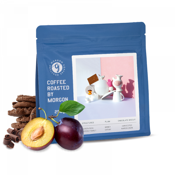 Výběrová káva Morgon Coffee Roasters Kostarika MONTERO FAMILY - 1000g - espresso