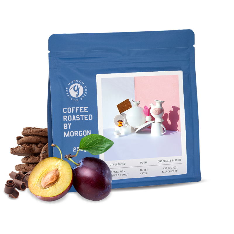 Výběrová káva Morgon Coffee Roasters Kostarika MONTERO FAMILY - 1000g - espresso