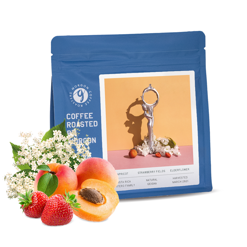 Výběrová káva Morgon Coffee Roasters Kostarika MONTERO FAMILY - geisha