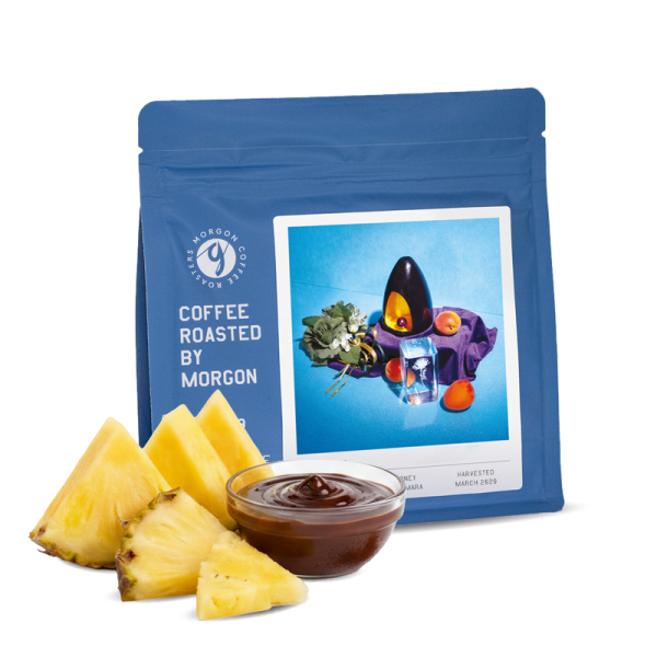 Výběrová káva Morgon Coffee Roasters El Salvador DIEGO BARAONA
