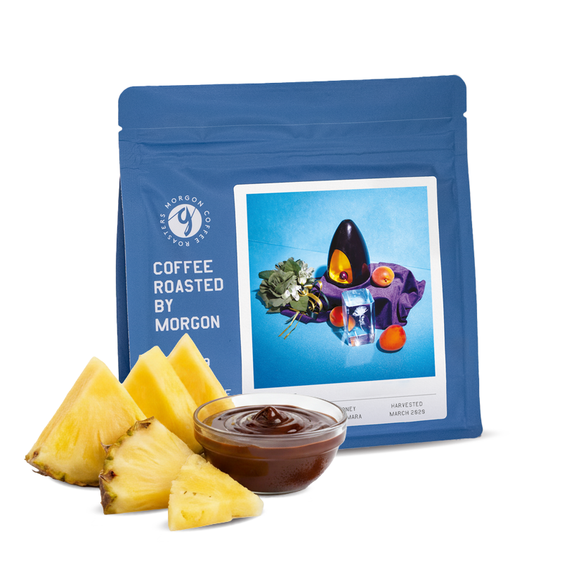 Výběrová káva Morgon Coffee Roasters El Salvador DIEGO BARAONA