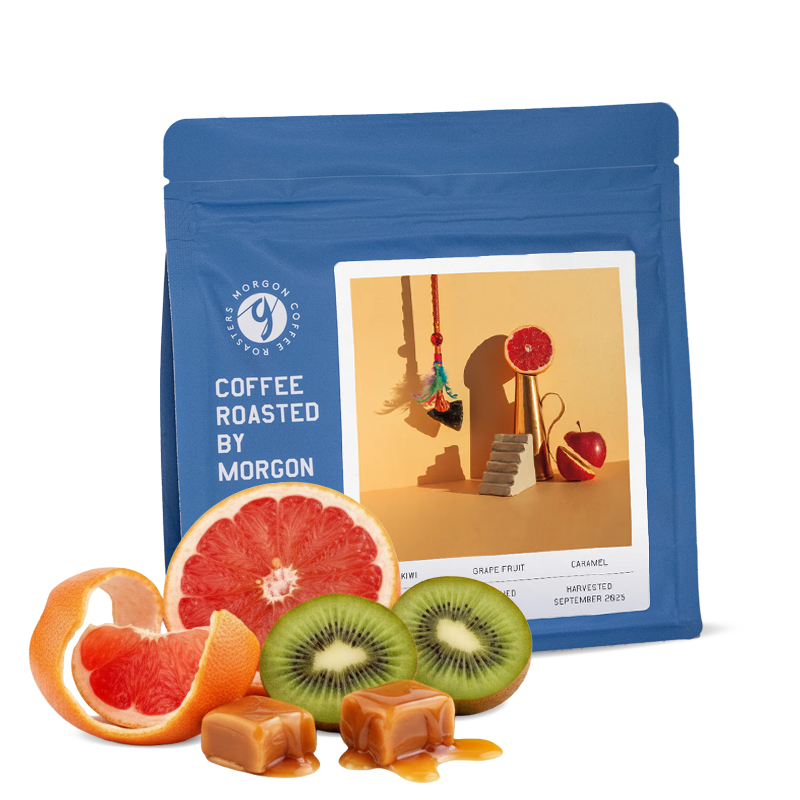 Výběrová káva Morgon Coffee Roasters Kolumbie WILMER GALINDEZ