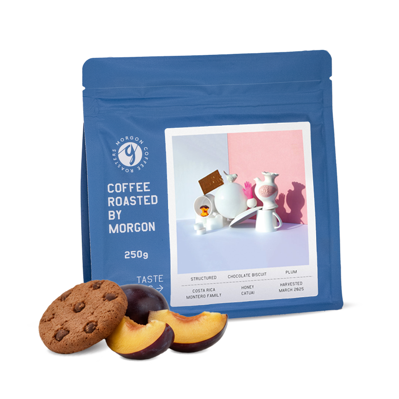 Výběrová káva Morgon Coffee Roasters Kostarika MONTERO FAMILY