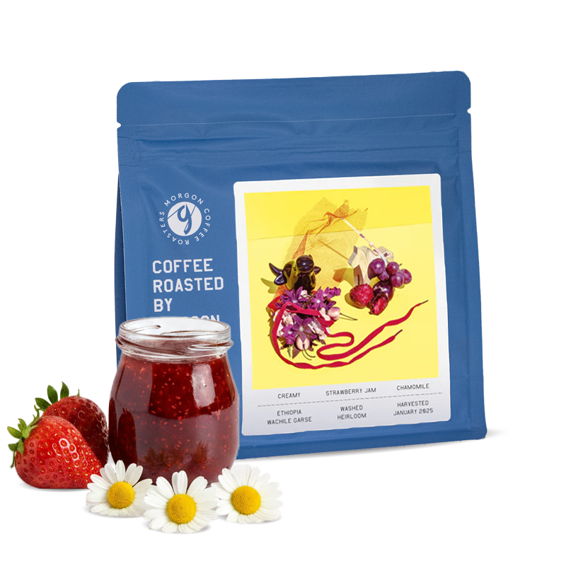 Výběrová káva Morgon Coffee Roasters Etiopie WACHILE GARSE - espresso