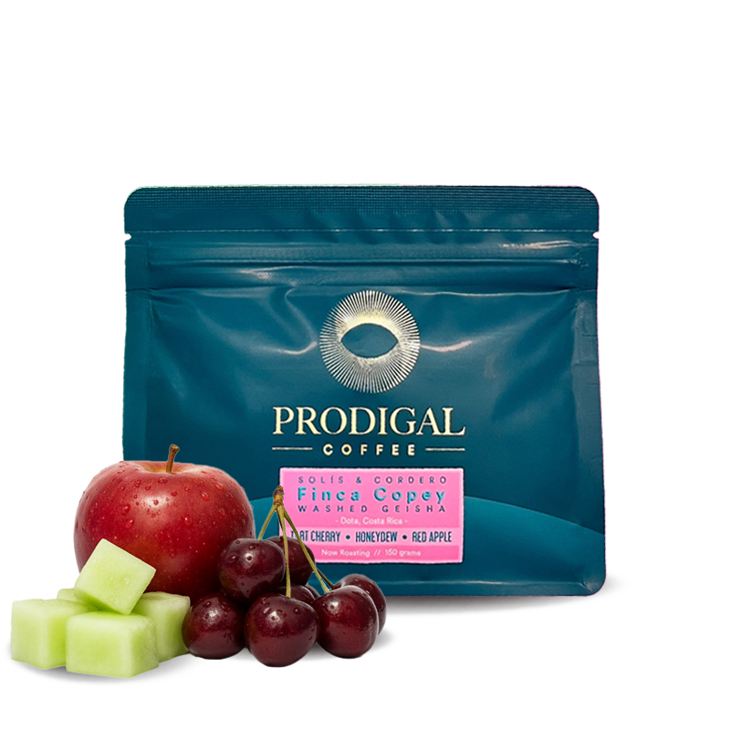 Výběrová káva Prodigal Coffee Kostarika FINCA COPEY - geisha - 150g