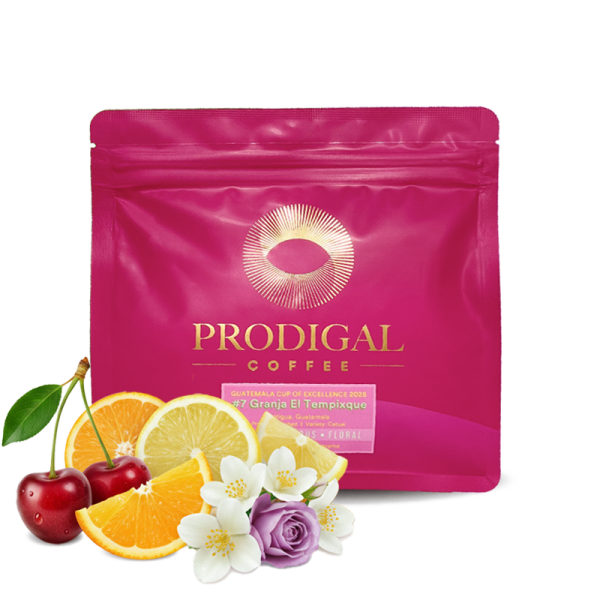 Výběrová káva Prodigal Coffee Guatemala GRANJA EL TEMPIXQUE - Cup of Excellence #7