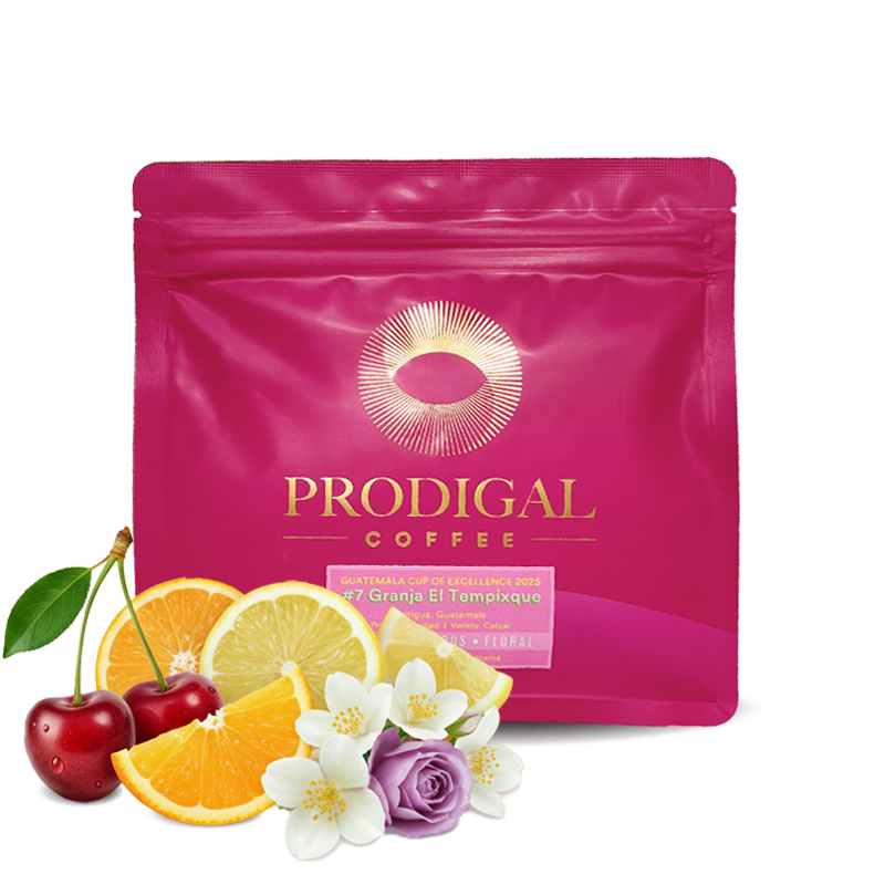 Výběrová káva Prodigal Coffee Guatemala GRANJA EL TEMPIXQUE - Cup of Excellence #7