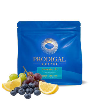 Etiopie NENSEBO G1 - Prodigal Coffee