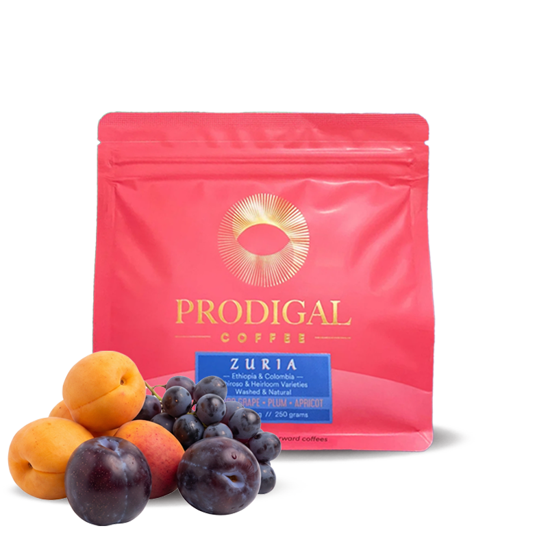 Výběrová káva Prodigal Coffee ZURIA BLEND