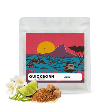 Etiopie DANCHE - Quickborn Roastery