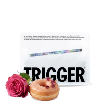 BANGER BREW ROSE DOUGHNUT filtr blend - Trigger Coffee